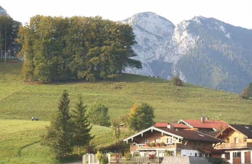 Inzell Apartamento | Holiday Apartment 'Steinbacher' with Mountain View, Balcony and Wi-Fi