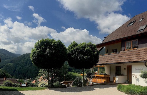 Haslachsimonswald Apartamento | Holiday Apartment 'Sternenblick, 61 sqm' with Shared Terrace, Shared Garden and Wi-Fi