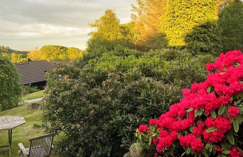 Sandyhills Cabina | Genuine log cabin, Solway Coast. Sleeps 6. Pet friendly. Perfect getaway.