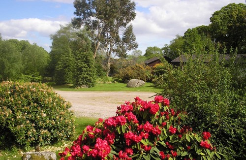 Sandyhills Cabina | Genuine log cabin, Solway Coast. Sleeps 6. Pet friendly. Perfect getaway.