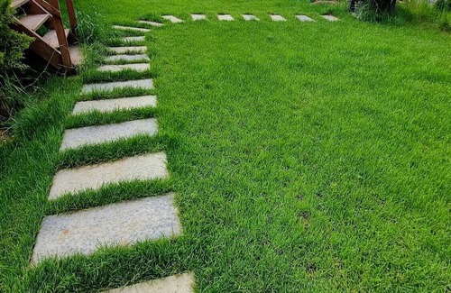 Sinop Casa | MERKEZDE DOGAYLA İÇ İÇE DENİZE 100 METRE MESAFEDE BUNGALOV.