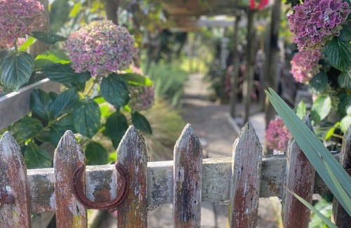 Nukuhou Cabina | Perfect getaway relax with nature