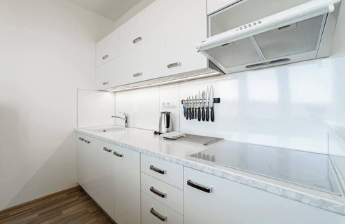 Kovarska Apartamento | Vacation apartment with a view of Klínovec in Kovářská in the Ore Mountains