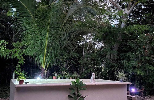 Solferino Casa | House in the jungle 2 BEDROOMS, EQUIPPED KITCHEN & ALBERCA