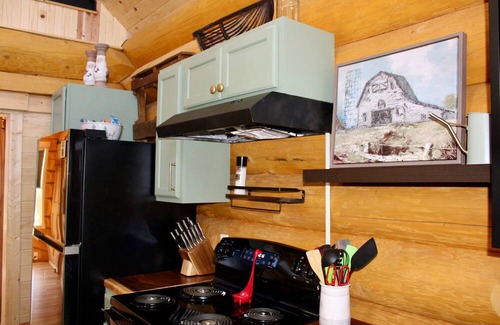 Marlinton Cabina | Greenbrier Riverfront Log Cabin. Unforgettable WV Getaway. River Ridge Retreat