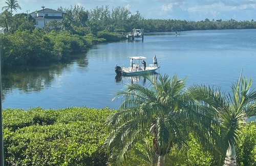 Bokeelia Casa | Luxury Waterfront Paradise in Bokeelia - Infinity Pool, Dock and Outdoor Bar