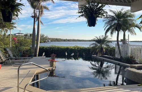 Bokeelia Casa | Luxury Waterfront Paradise in Bokeelia - Infinity Pool, Dock and Outdoor Bar