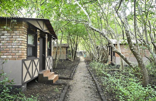 Karwar Cabaña | Camp Riveredge Paradise