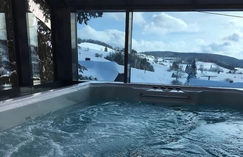 Ibach Apartamento | Apartment 'Panorama' with Spa Area and Mountain View