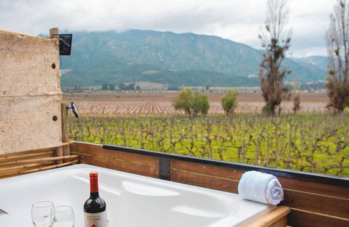 Santa Cruz Cabina | Apalta Lofts, enjoy the vineyards in front of the vineyards