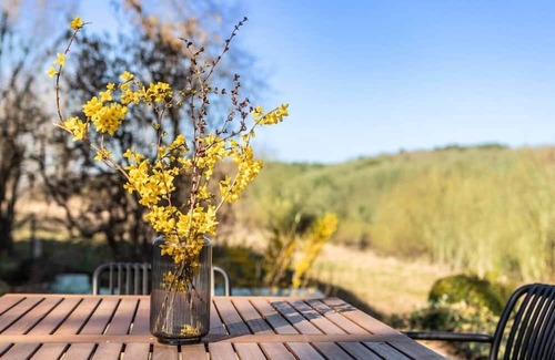 Bermel Apartamento | Wohnen zwischen Himmel und Wald