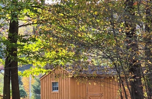 Cherry Valley Cabina | Lovely 1-bedroom Rustic Cabin in Roseboom NY, just 12 miles from Cooperstown