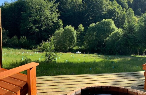 Loncoche Cabina | ¨Refugio Pulli¨ Cozy cottage in the countryside for 2 adults 1 child.