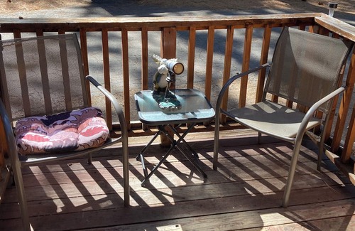 Tahoe Valley Casa | The Cedar Pines tiny house bungalow Pet Friendly