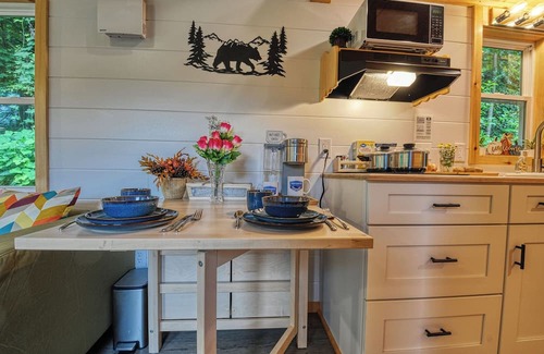 Newport Cabina | The Leconte Tiny Home Overlooking the Pigeon River