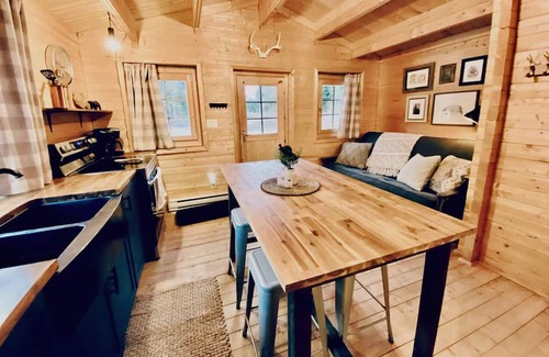 Fraser Valley Regional District Cabina | Peaceful cabin in the mountains with pond view. Pet friendly!