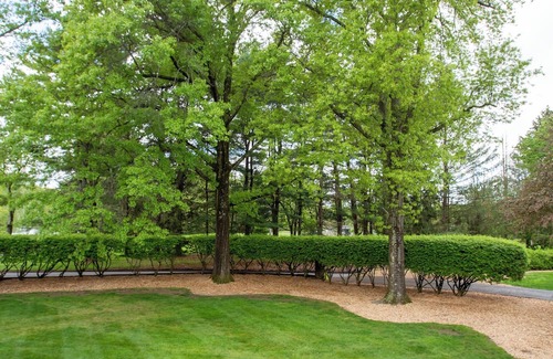 Andover Casa | Luxurious, fully renovated 5 bedroom home great indoor & outdoor living spaces