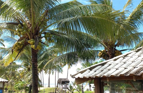 Marau Apartamento | JOAO CABANA BEACH HOTEL