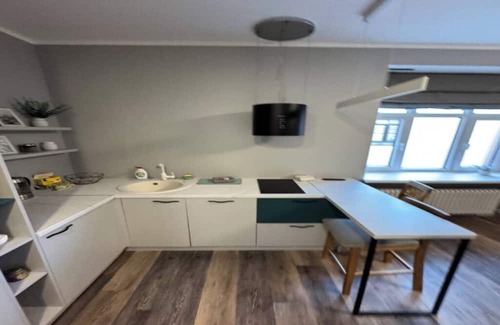 Panevezys Apartamento | Fantastic apartment with WiFi and TV in charming Panevėžys