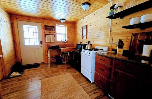 Town of Amboy Cabina | Spring Is In The Air | Cozy off-grid cabin