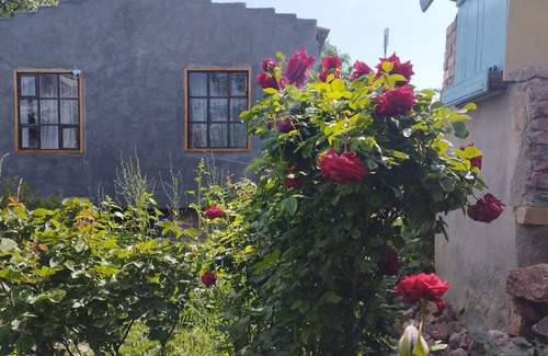 Cholpon-Ata Casa | Affordable guest house near to main road, beach and petroglyph museum