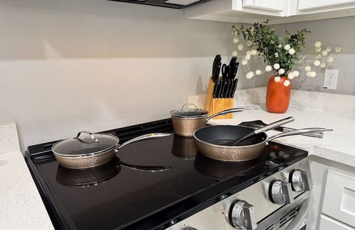 Alamo Apartamento | Modern Studio Apt - 3Bd 2Bath
