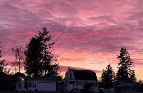 Port Angeles Cabaña | Charming 2 bedroom cottage