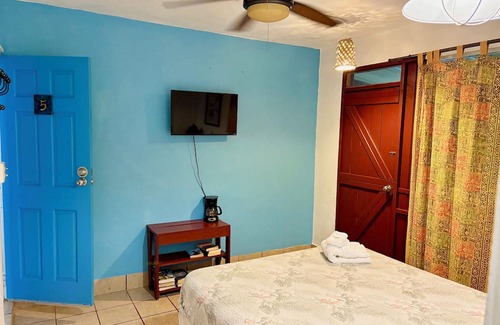 Esperanza Complejo | Bananas Vieques Guesthouse Room 5/Vibrant Area/Private/Steps from Caribbean