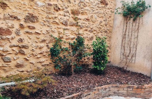 Quartier Centre Ville Casa | Homerez - Cozy house with garden in Massy