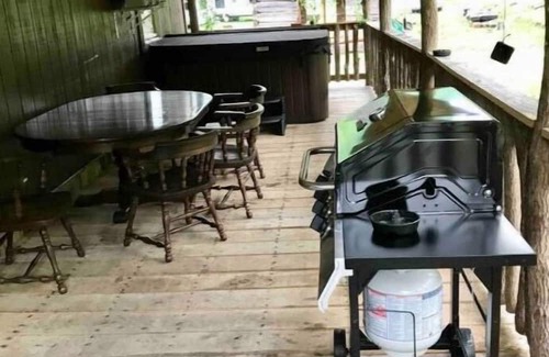 Elkins Cabina | Pioneer cabin in Bowden, Canaan Valley sleeps 8