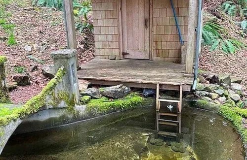 Brinnon Casa | A perfect escape in the woods on the Hood Canal! Cabin, treehouse, camp sites!