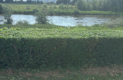 Rinteln Casa | Stylish vacation home directly on the Weser with covered terrace and free WLAN