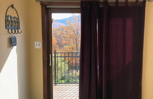 Castleton Apartamento | Hilltop Pet Friendly Studio in Castleton, Vermont
