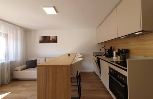 Hinterzarten Apartamento | Zartenbach Suite Two + Hochschwarzwald Card
