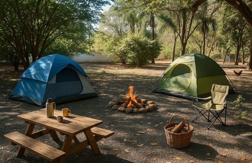 Barretos Alquiler De RV | Camping Recanto Rural Barretos during the cowboy festival