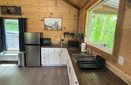 Dandridge Apartamento | Cabin in the woods!