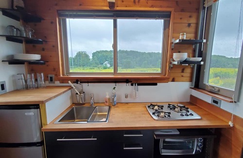 Hartwick Cabina | Tiny House in a peaceful meadow near Cooperstown