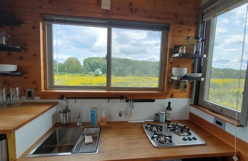Hartwick Cabina | Tiny House in a peaceful meadow near Cooperstown