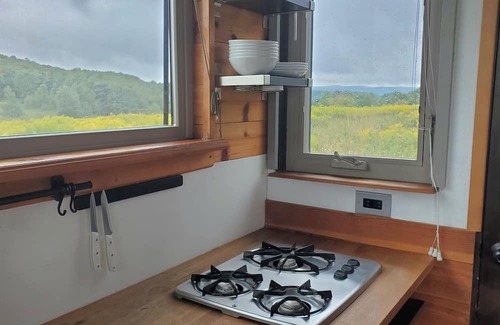 Hartwick Cabina | Tiny House in a peaceful meadow near Cooperstown