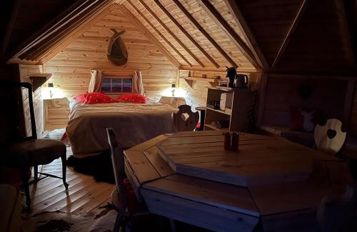 Voissant Cabina | Kota COSY TRIP