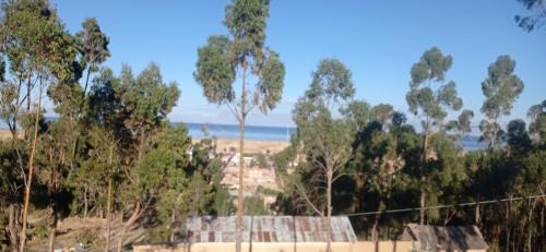 La Paz Casa | La Esperanza Carabuco