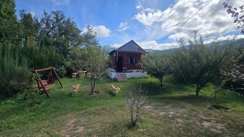 El Mollar Apartamento | Cabana Shalom
