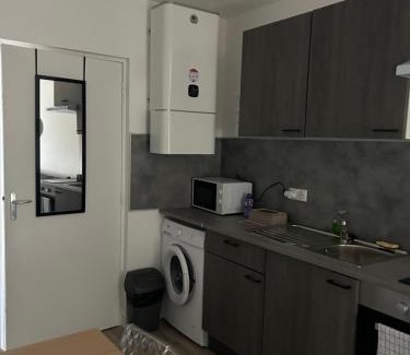 Vieux Vichy Apartamento | Appartement avec balcon