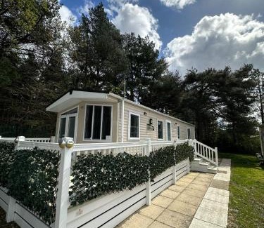 Ringwood Otro | Ozbourne