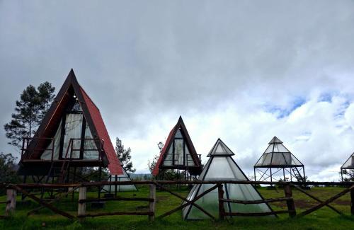 Kodaikanal Hotel | Wrongturnclub hilltop adventure stay