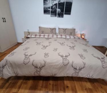 Kvartal Noviya Grad Apartamento | Studio Vihren 11,Bansko