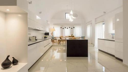 Vlychada Casa | Villa Fragrant olive trees Exclusive 12guests