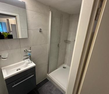 Saint-Gingolph Apartamento | Studio saint-gingolph