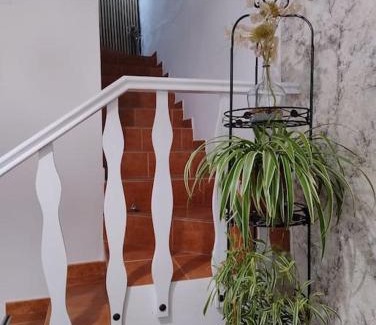 Benaojan Casa | casa espejos