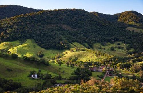 Floresta Casa | Tiny House Florestinha